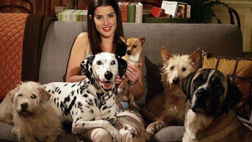 HIMYM: ¿Por qué dejaron de aparecer los perros de Robin en la serie? Conoce la verdadera razón