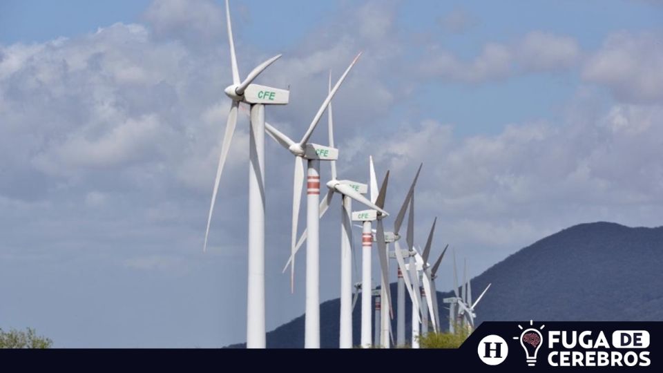 México debe enfrentar el cambio climático Foto: Especial