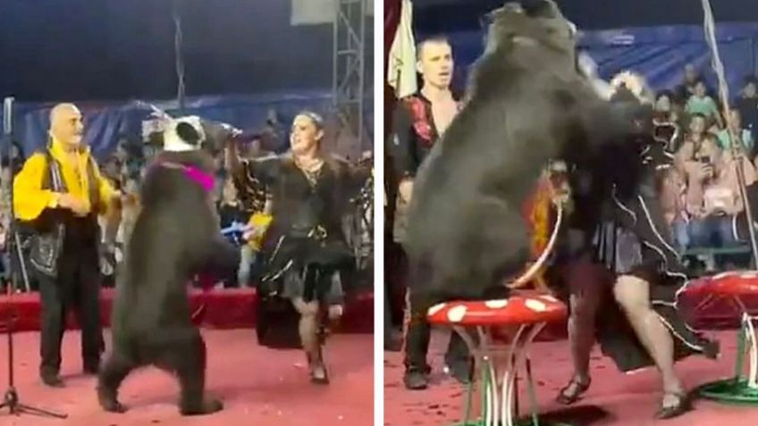 Oso ataca a su entrenadora en pleno show circense: VIDEO FUERTE