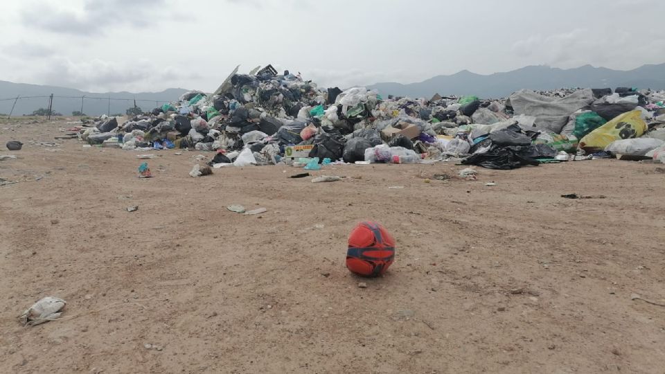 Pepenadores hidalguenses buscan llevar el sustento a casa Foto: Especial