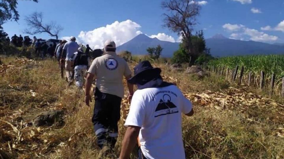 Las autoridades deberán brindar atención a estos colectivos