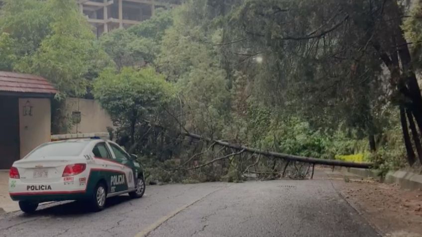 Lluvia causa caos en CDMX y Edomex, hay árboles caídos, accidentes e inundaciones