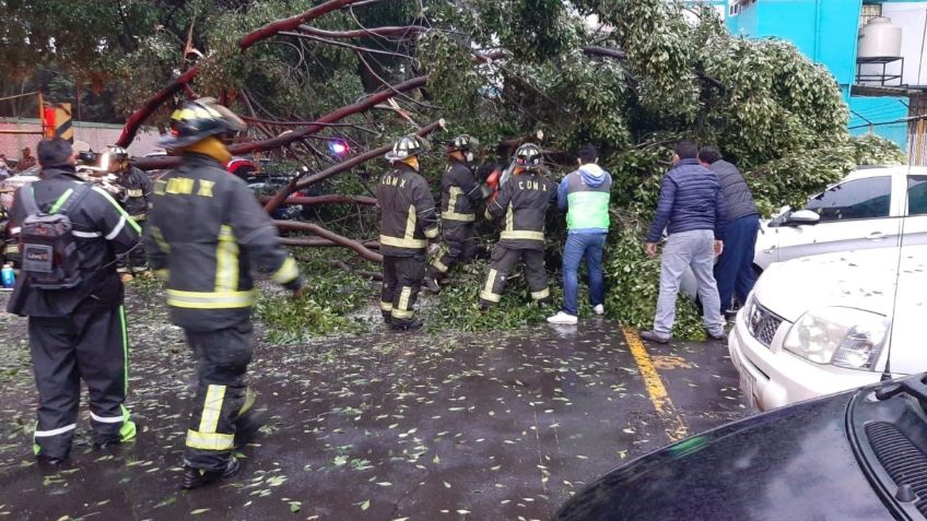 Lluvia en la CDMX deja como saldo 17 árboles caídos y 22 encharcamientos