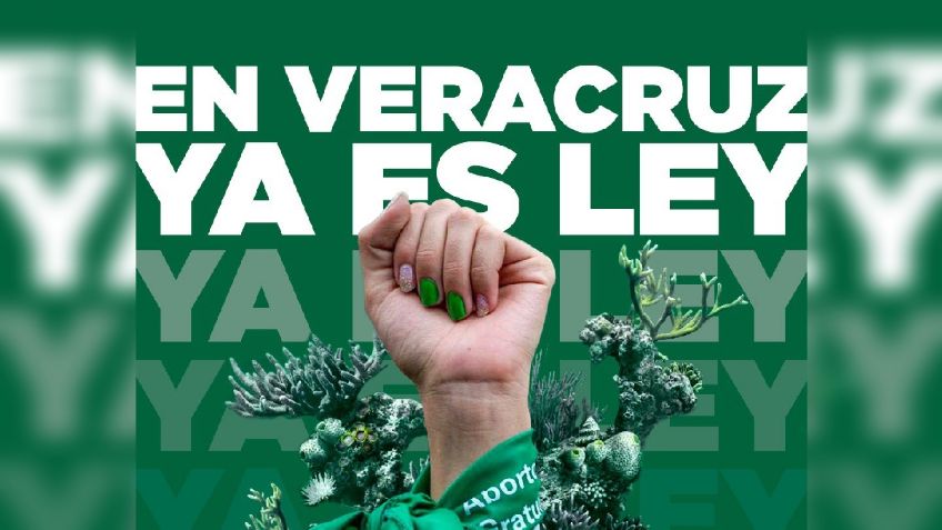 Despenalización del aborto en Veracruz y otras entidades no se podría pensar sin la marea verde, asegura el GIRE