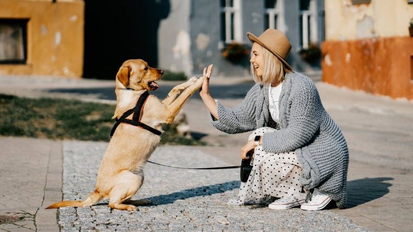 Ejercicios para celebrar con tu lomito el Día Mundial del Perro