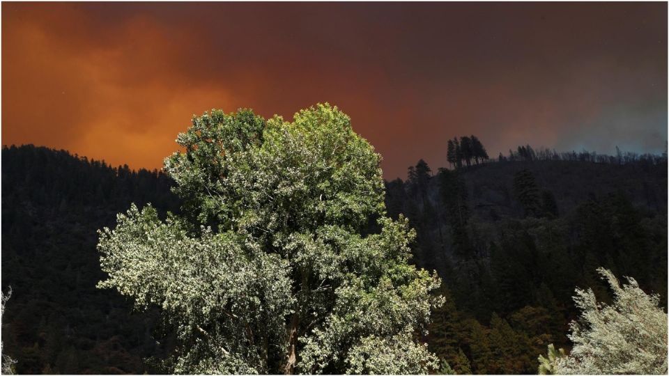 Los incendios por la ola de calor en California no se han controlado. Foto: EFE