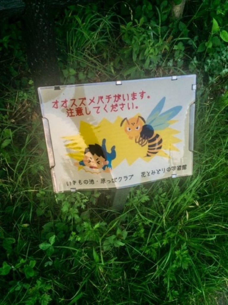 abeja