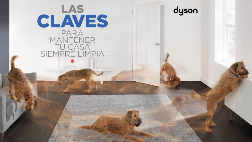 Aspiradora sin cable Dyson V11™ Absolute. Imagen: Tyson