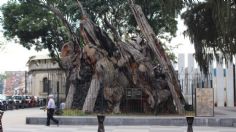 Con cambio de la nomenclatura buscan reivindicar a víctimas de Masacre del Templo Mayor