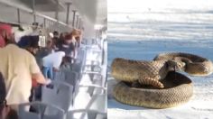 Víbora de cascabel causa pánico en transporte público de Nuevo León | VIDEO