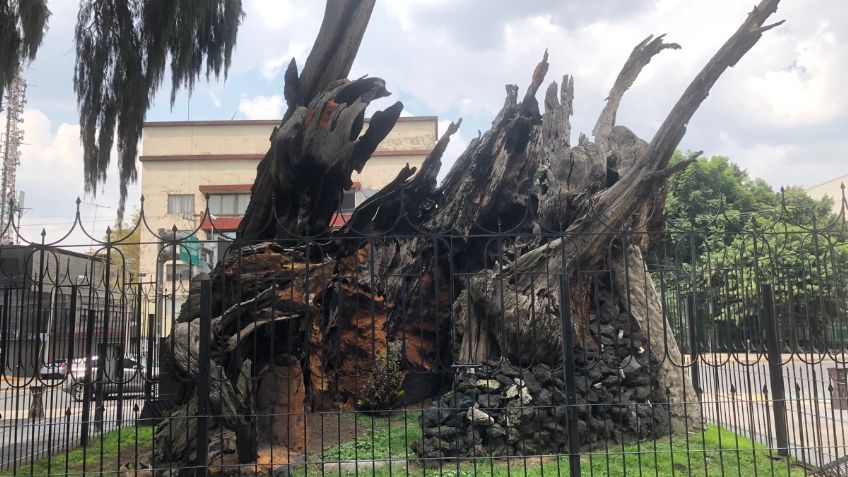 Oficializan cambio: pasa de Árbol de la Noche Triste a Plaza de la Noche Victoriosa