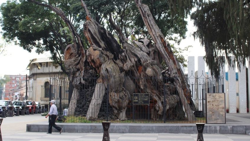 Con cambio de la nomenclatura buscan reivindicar a víctimas de Masacre del Templo Mayor