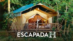 Lujo y naturaleza: El glamping se prepara para conquistar el verano