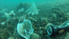 Cubrebocas, principales contaminantes del océano tras pandemia, ésta es la impresionante cifra