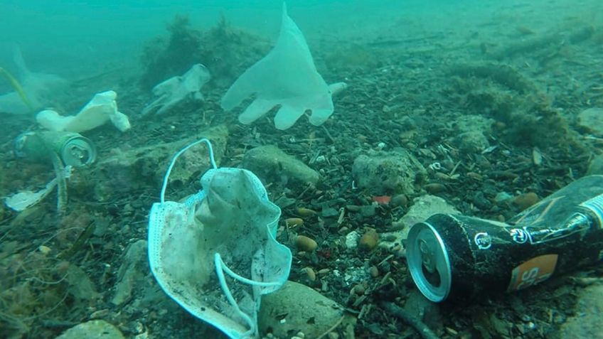 Cubrebocas, principales contaminantes del océano tras pandemia, ésta es la impresionante cifra