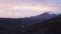 Mina Bustillos, santuario de murciélagos, cerca de ser el primer Parque Estatal en Chihuahua