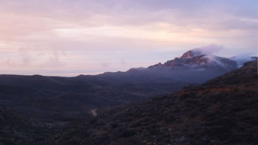 Mina Bustillos, santuario de murciélagos, cerca de ser el primer Parque Estatal en Chihuahua