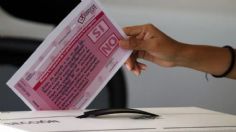 Consulta popular es mera propaganda rumbo a la elección del 2024, asegura Luis Estrada