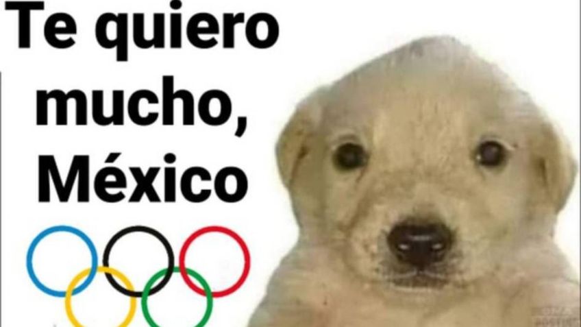 Memes en Tokio 2020: Conoce a Te Quiero Mucho, el perrito que apoya a México