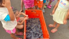 Niños en Veracruz aprenden a cuidar tortugas