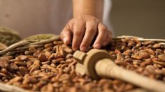 Día Mundial del Cacao: Cuáles son sus beneficios y cómo se puede consumir