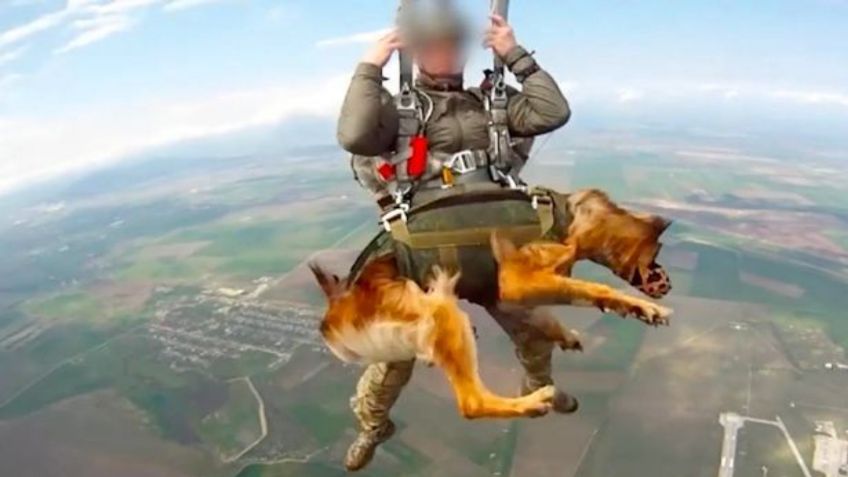 Indigna imagen de militares rusos en paracaídas con perritos; esta es la VERDAD detrás de la foto