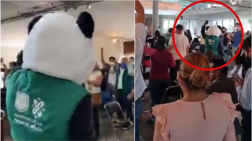 Al ritmo de Jeans y OV7, pandas bailan para amenizar vacunación de personas de 30 a 39 años: VIDEOS