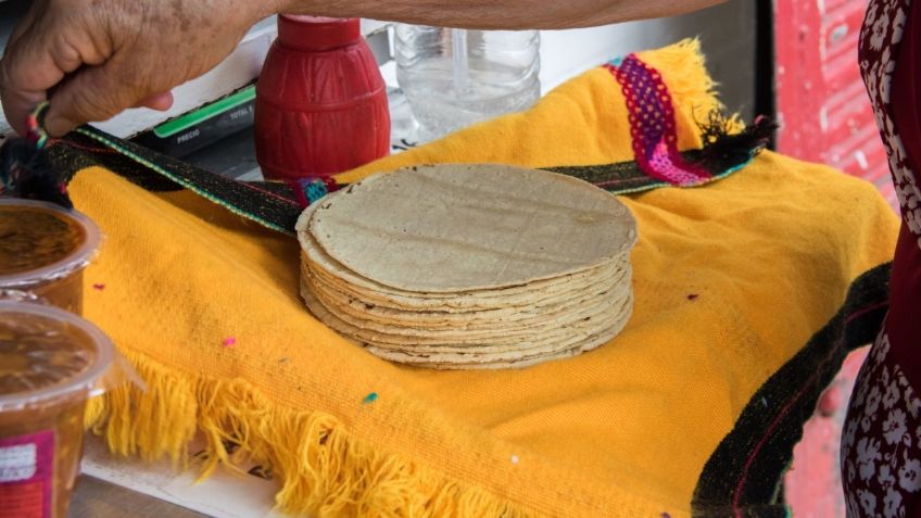 Precio del maíz ha aumentado 72%, el de la tortilla sólo 11%: Blanca Mejía