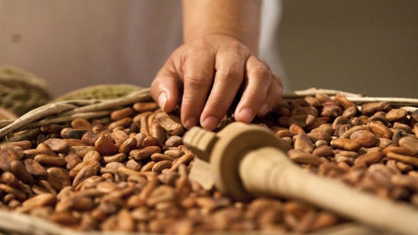 Día Mundial del Cacao: Cuáles son sus beneficios y cómo se puede consumir