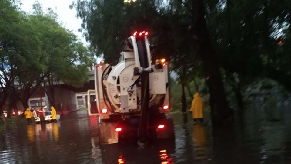 Trabajan en la zona