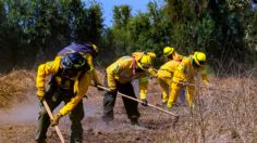 “Un héroe sin capa", la feria que celebra el trabajo del Combatiente Forestal