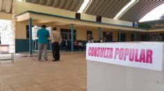 Consulta Popular: INE resalta participación del 7.11% tras casi todas las actas computadas