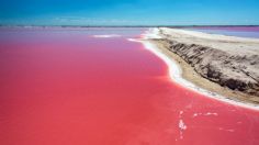 ¿Cómo organizar una visita a las lagunas Coloradas de Yucatán?