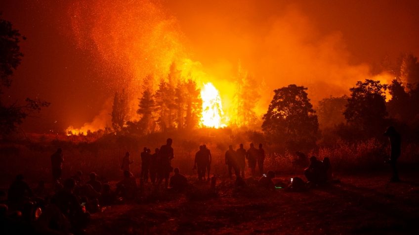 MAPA: ¿Cuáles son los estados más afectados por incendios forestales?