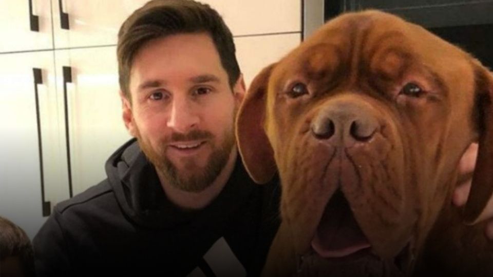 Hulk fue el regalo que  Antonela Roccuzzo, esposa de Messi, dio a su marido en 2016. FOTO: Instagram