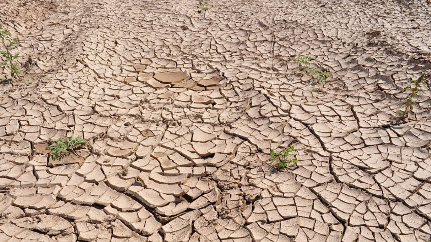 México requiere de políticas energéticas que hagan énfasis en energías renovables, asegura miembro del IPCC