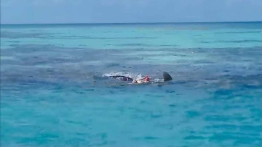 Tiburones devoran cadáver de pescador frente al mar