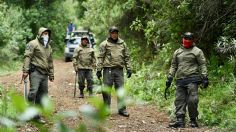 Guardianes del monte luchan contra la tala ilegal en la CDMX