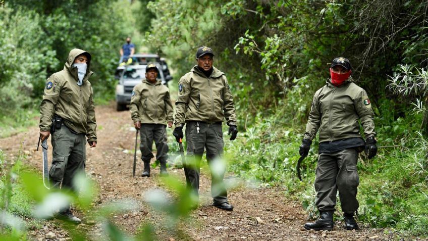 Guardianes del monte luchan contra la tala ilegal en la CDMX