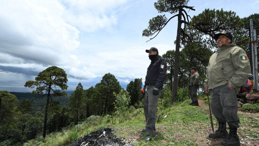 Milpa Alta: Luchan vs. talamontes