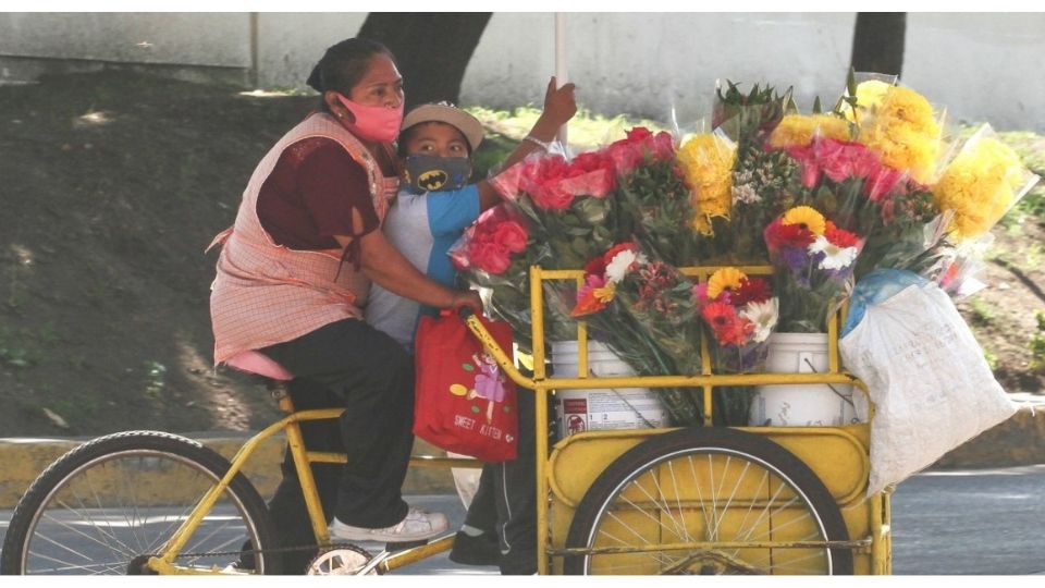 Dicho programa beneficiaría a familias mexicanas