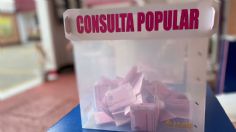 En Edomex la participación fue del 8% en Consulta Popular