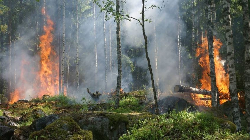 Sequía, incendios y más ciclones, los drásticos cambios que sufrirá América Latina por el cambio climático