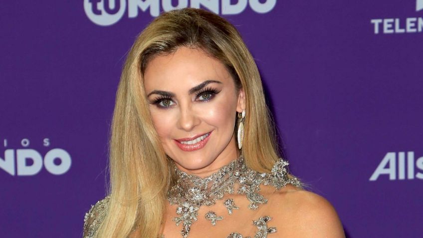 Irreconocible: 3 fotos de Aracely Arámbula antes y después de todas sus cirugías