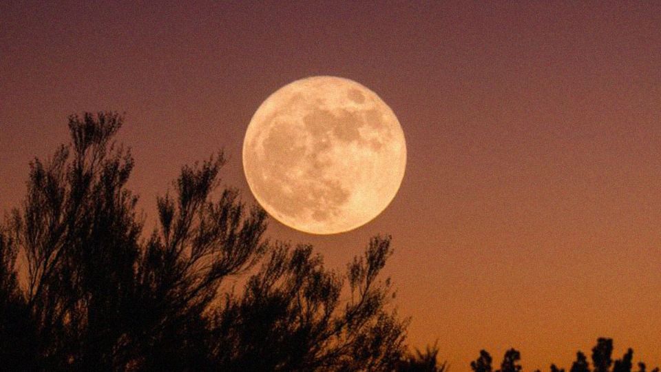 La Luna de Gusanos fue nombrada así por las tribus nativas del norte y el este de Estados Unidos