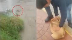 Captan a hombre arrojando a perro a arroyo en SLP; ¿qué pasó con el can?: VIDEO VIRAL