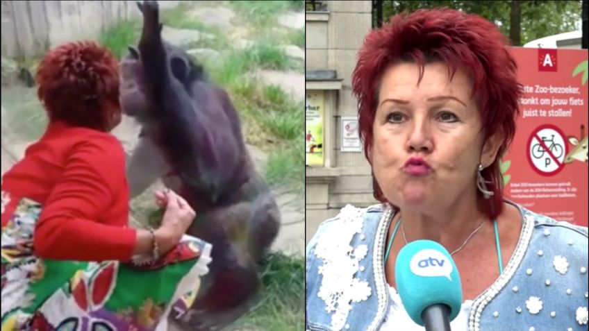 Expulsan de zoológico a mujer por mantener una "relación no saludable" con un chimpancé macho