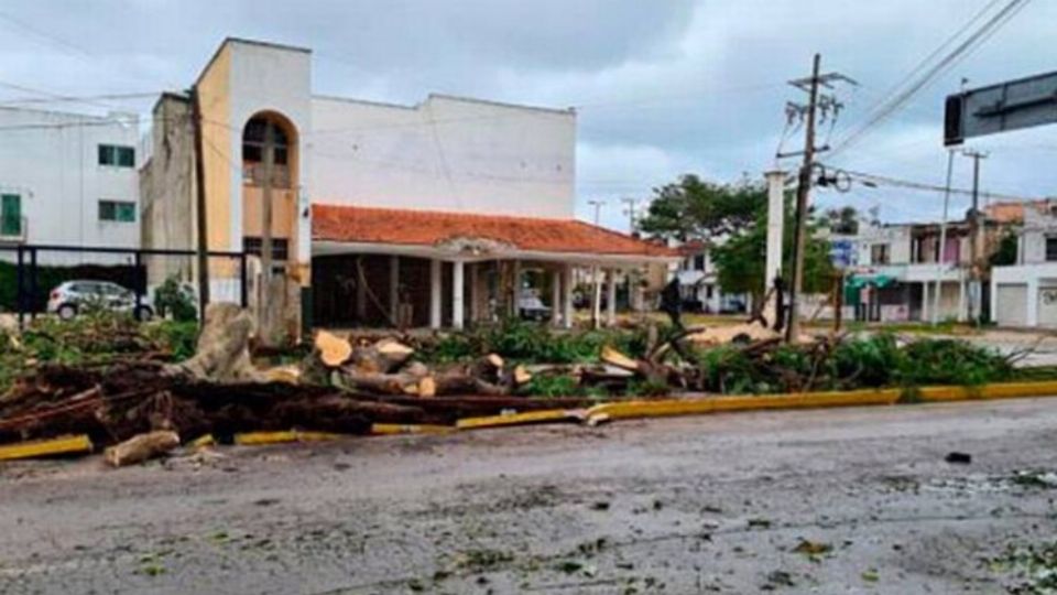 Daños que dejó el huracán 'Grace'. Foto: Especial