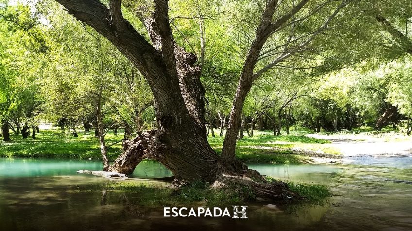 Escapada H: Pueblos Mágicos, ¿Conoces Nuevo León?