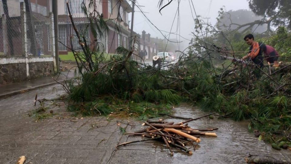 Suman más de 400 mil los poblanos de 64 municipios afectados por el Huracán Grace. FOTO: Especial